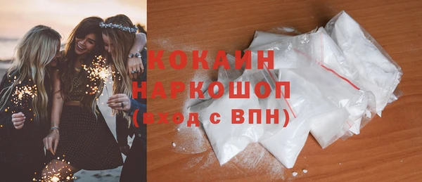 стаф Богданович