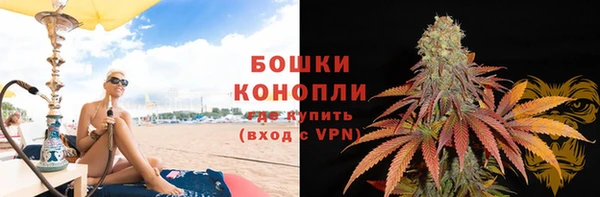 стаф Богданович