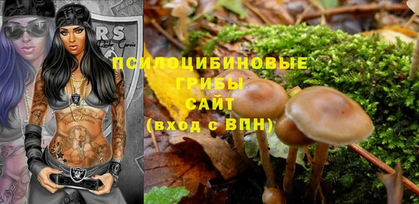 стаф Богданович