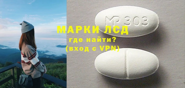стаф Богородск