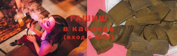 стаф Богданович