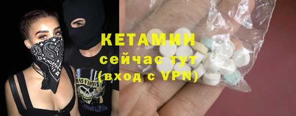 стаф Богданович