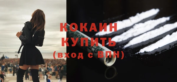 стаф Богородск