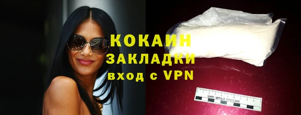 тгк Богородицк