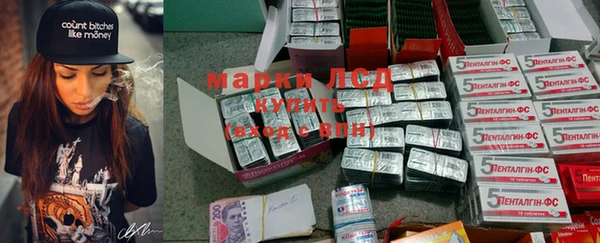 стаф Богданович