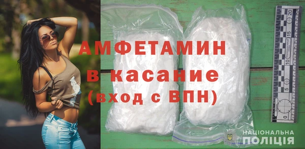 стаф Богданович