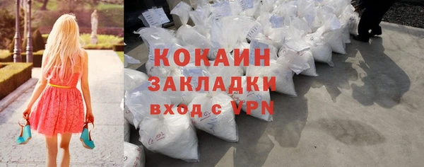 стаф Богданович