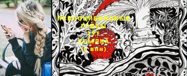 стаф Богданович